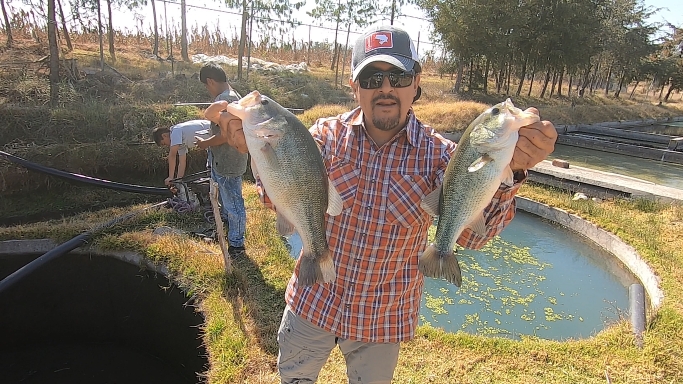 Captura de pantalla (744).png Captura de pantalla (744).png